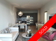 North Surrey Apartment/Condo for sale: 1 bedroom 515 sq.ft. (Listed 2017-09-13)